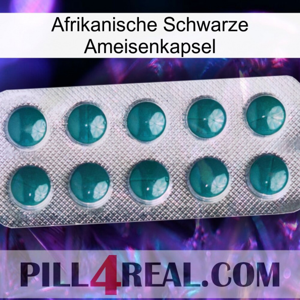 Africa Black Ant Capsule dapoxetine1